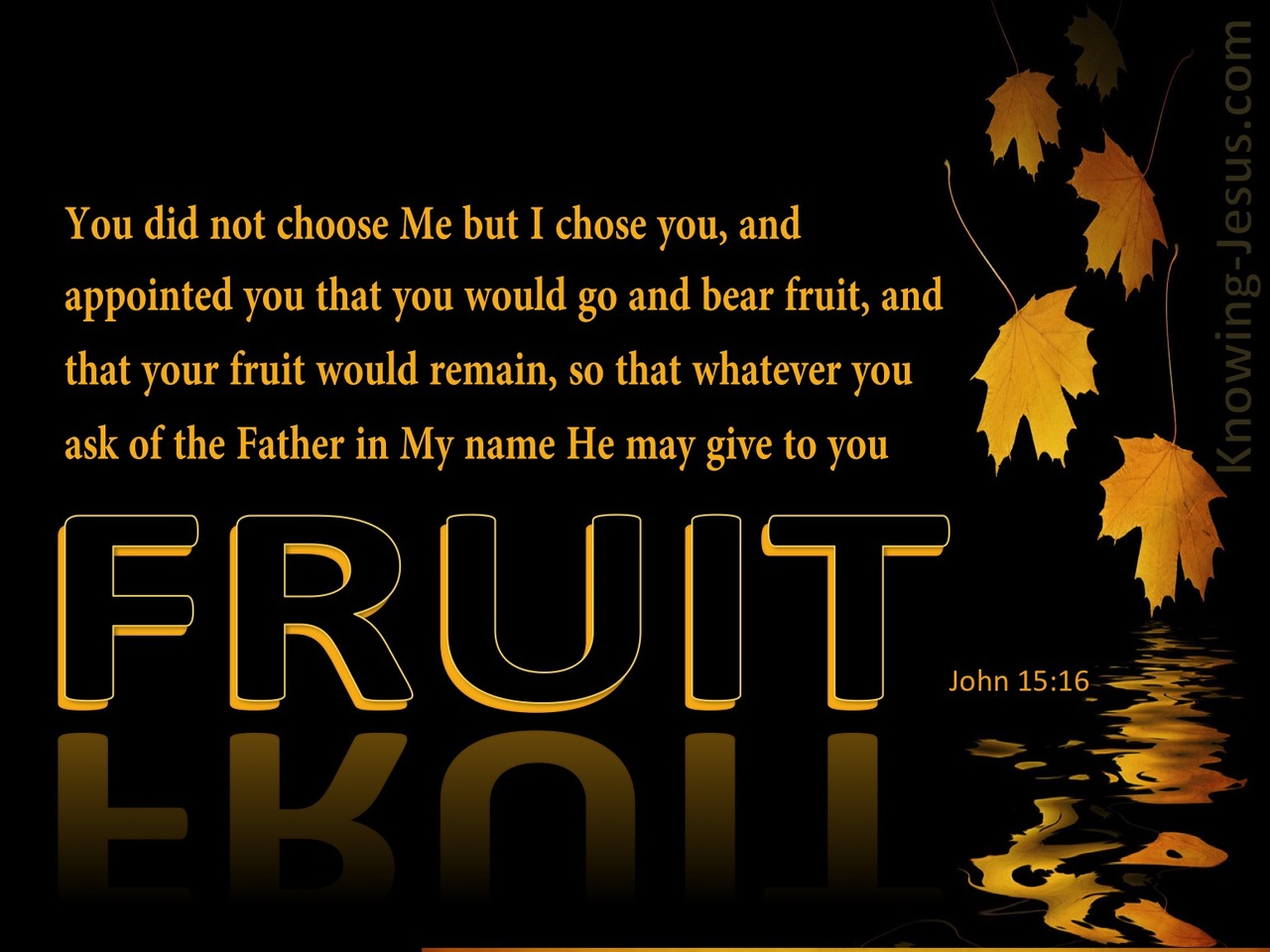 John 15:16 You Did Not Choose Go And Bear Fruit (brown)